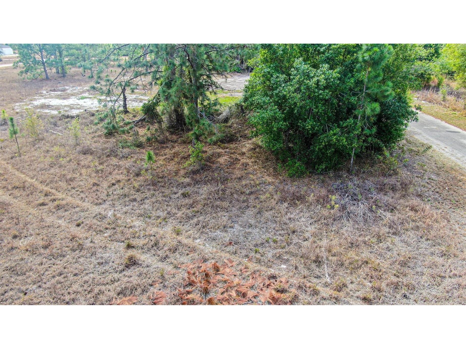 841 Dante Avenue S Lehigh Acres FL 33974 A4685165 image10