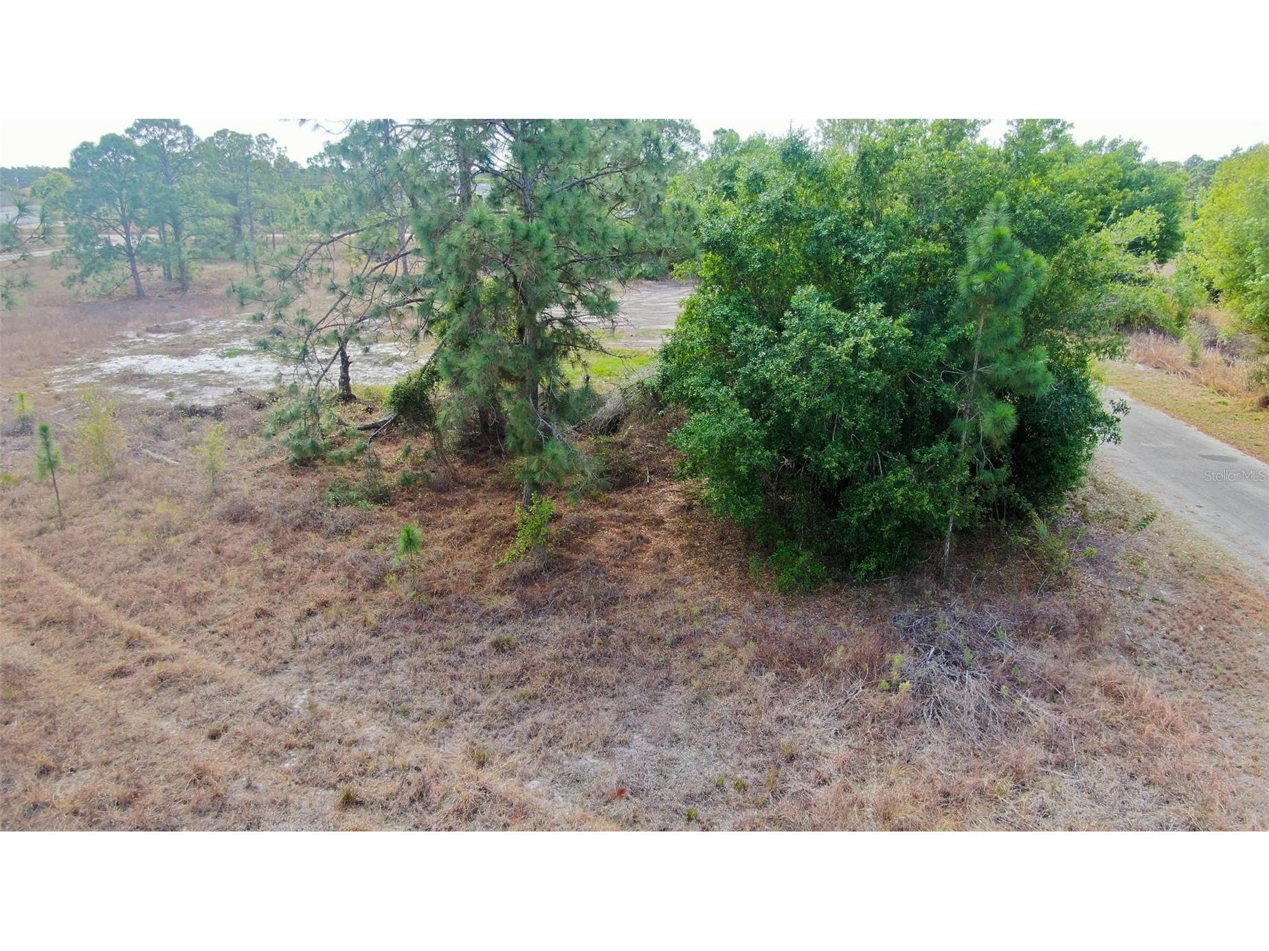 841 Dante Avenue S Lehigh Acres FL 33974 A4685165 image11