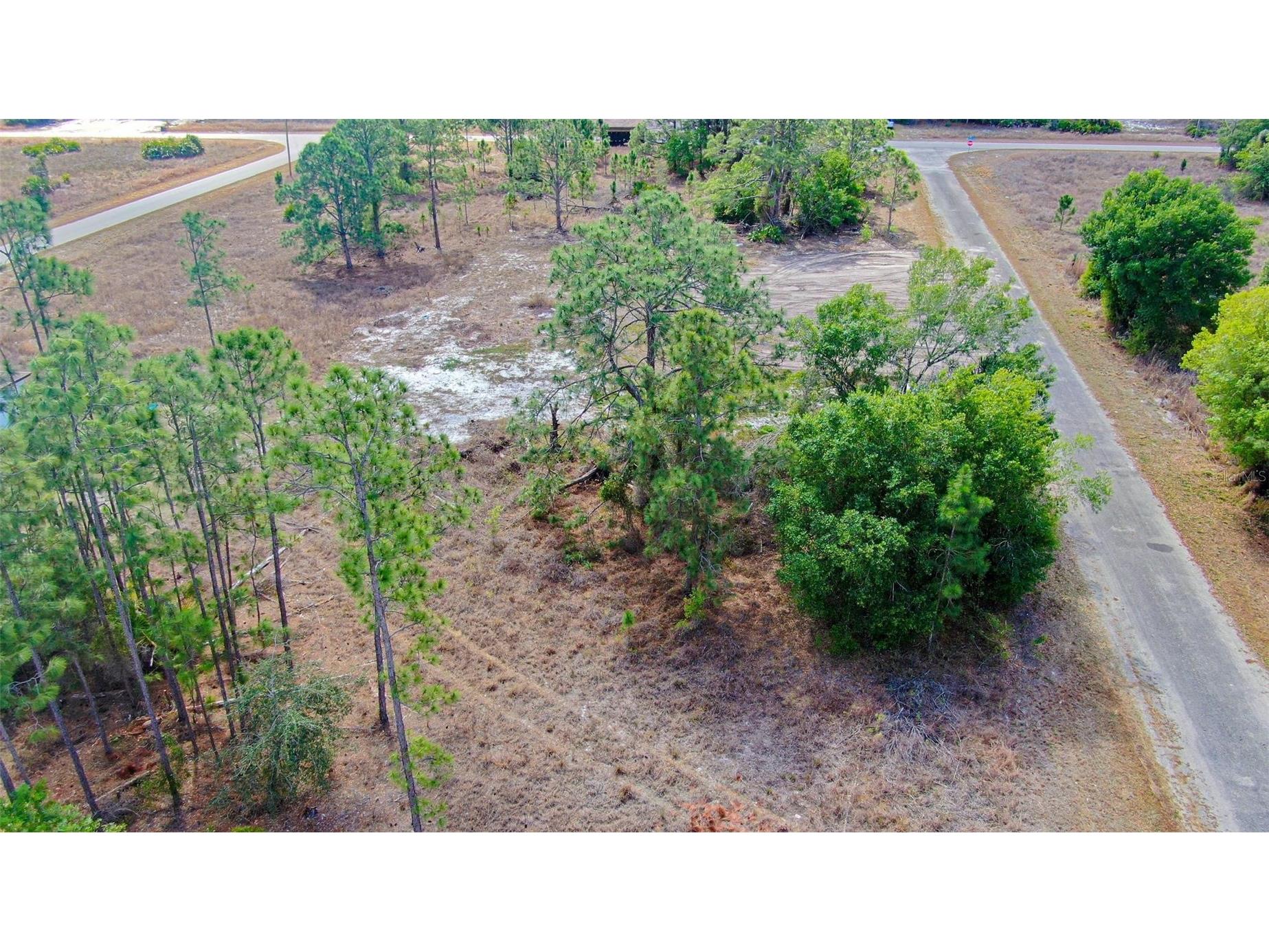 841 Dante Avenue S Lehigh Acres FL 33974 A4685165 image3