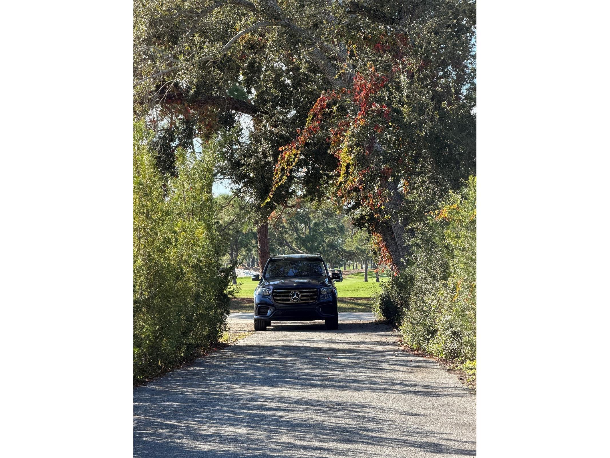 841 Indian Rocks Road Belleair FL 33756 TB8455440 image1