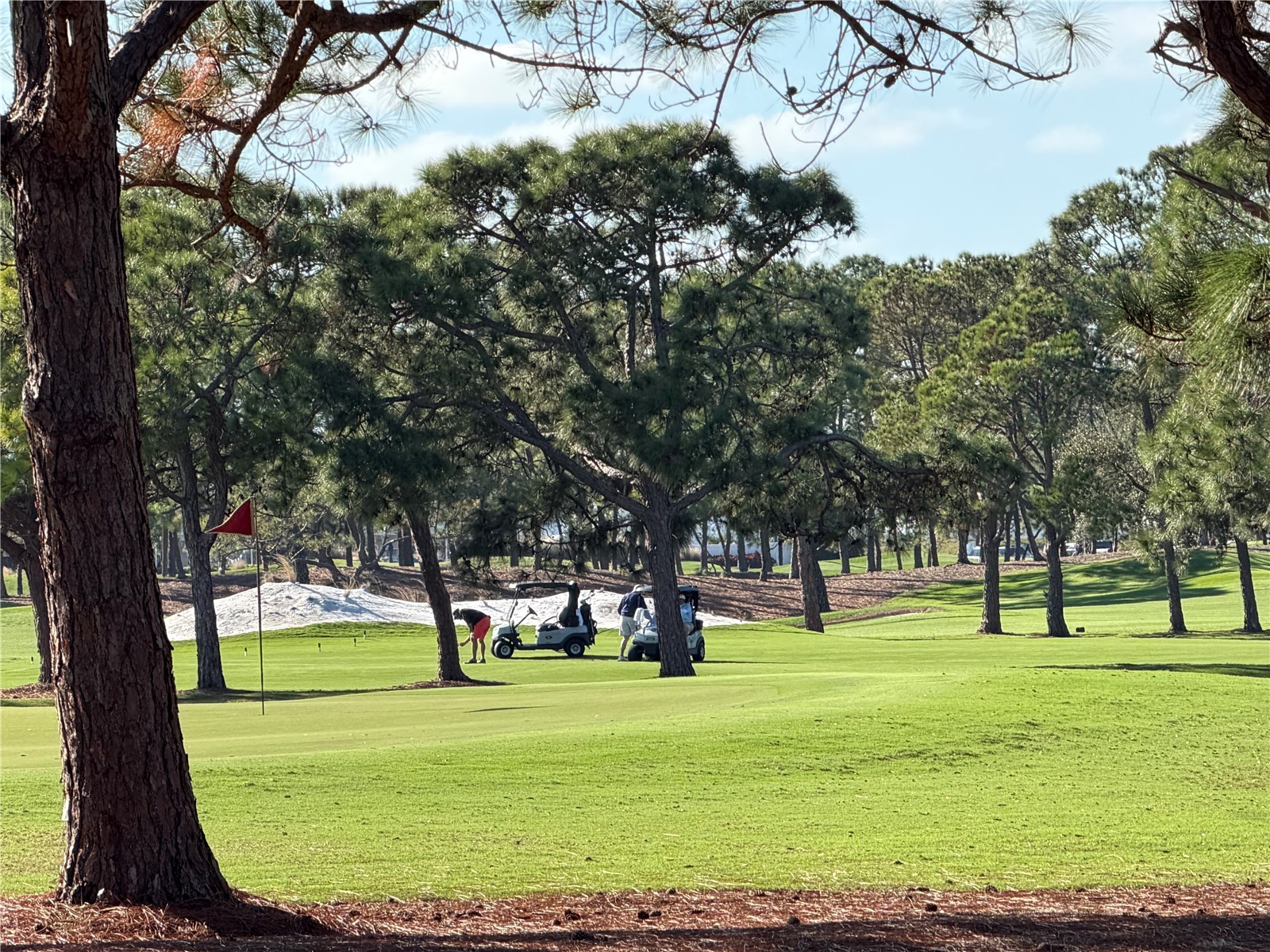 841 Indian Rocks Road Belleair FL 33756 TB8455440 image2