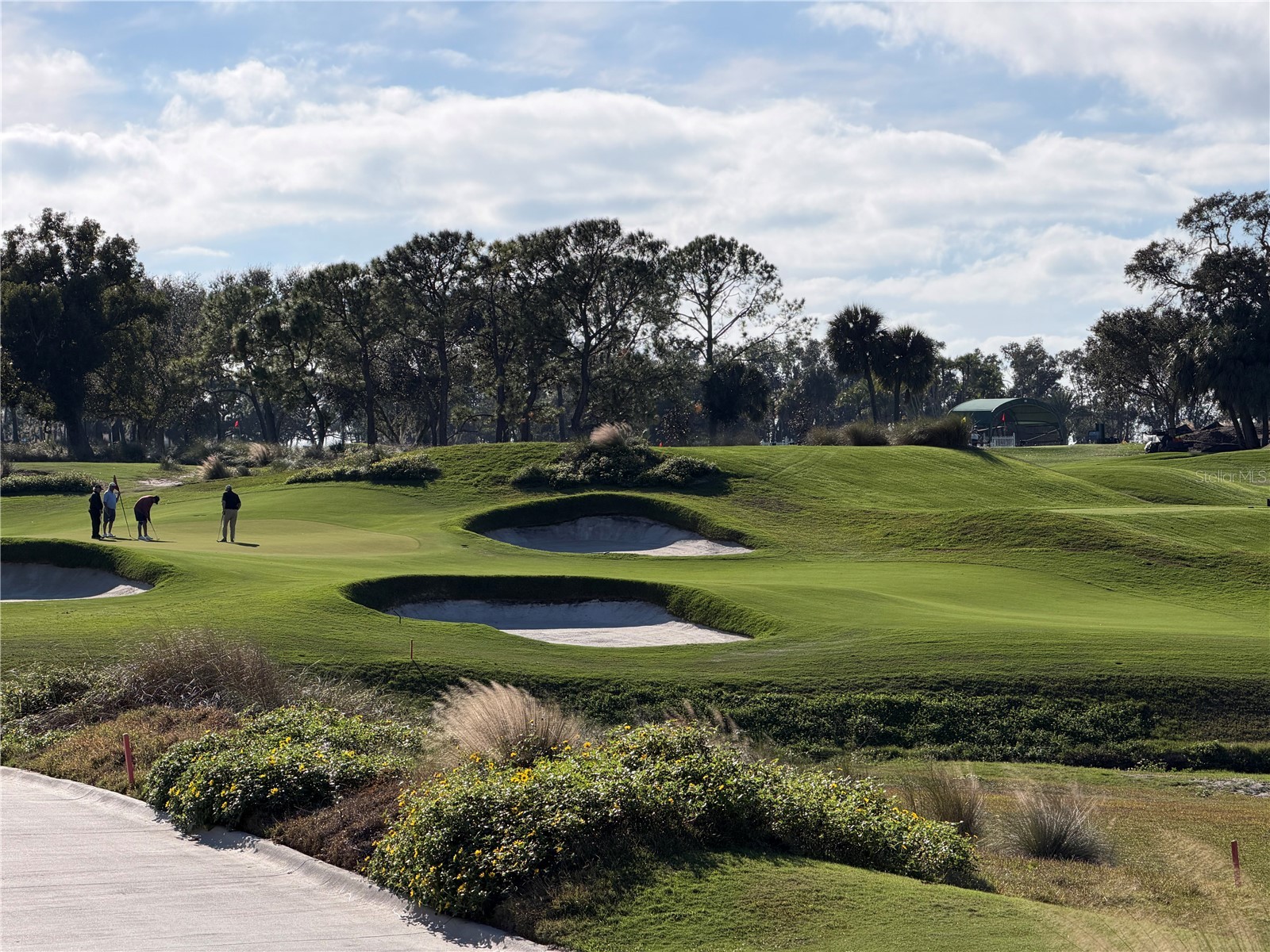 841 Indian Rocks Road Belleair FL 33756 TB8455440 image3