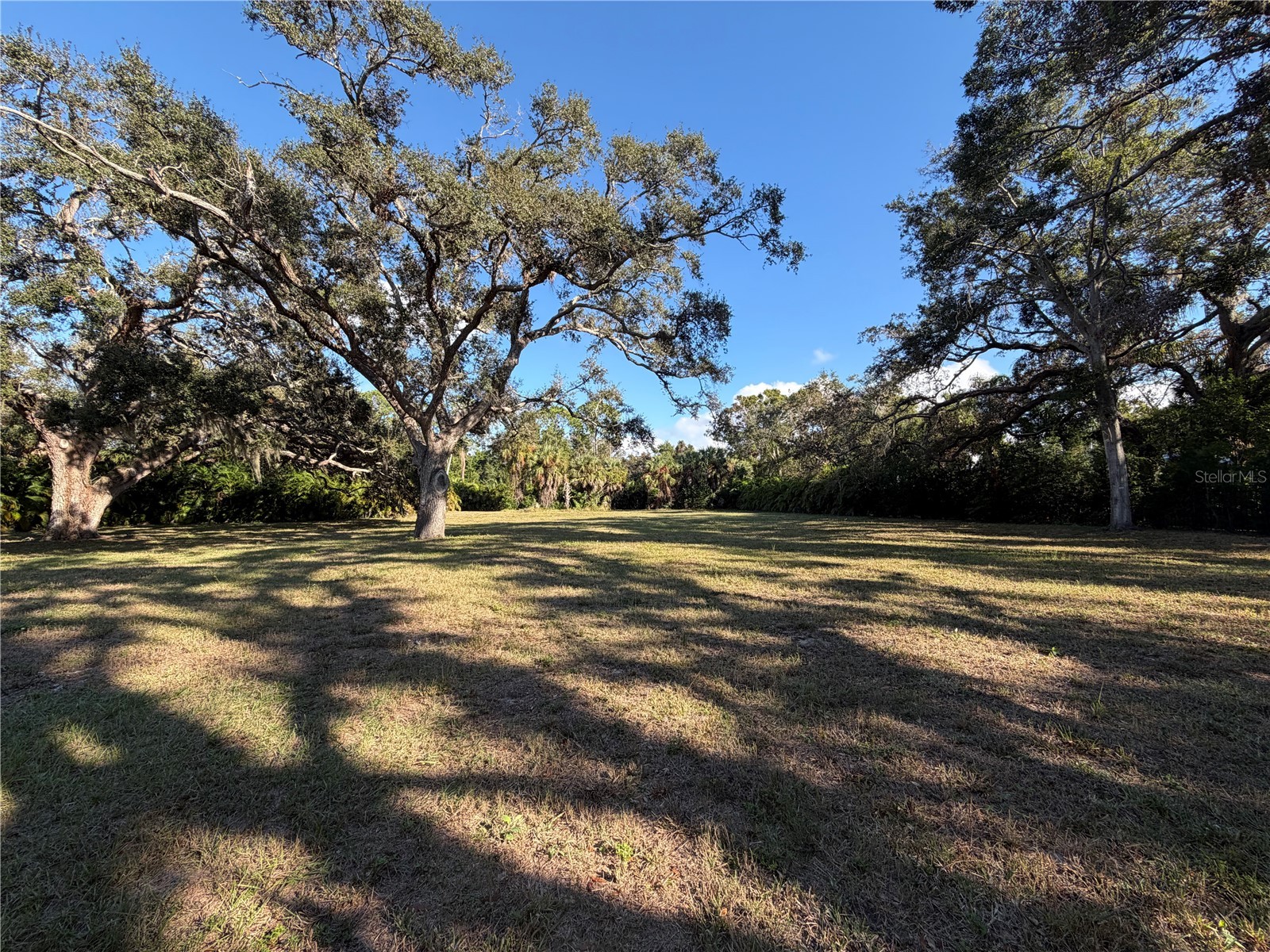 841 Indian Rocks Road Belleair FL 33756 TB8455440 image5