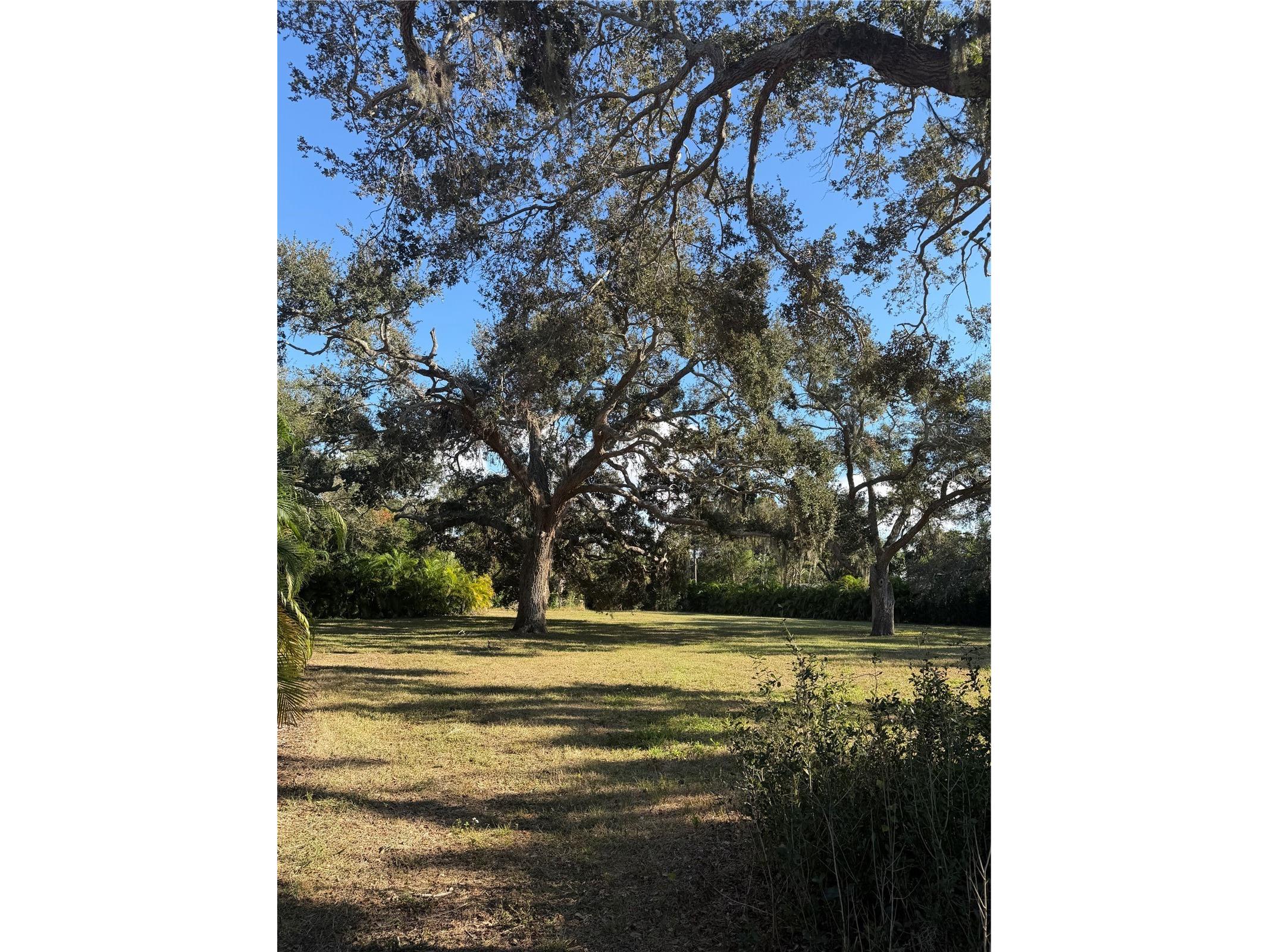 841 Indian Rocks Road Belleair FL 33756 TB8455440 image6