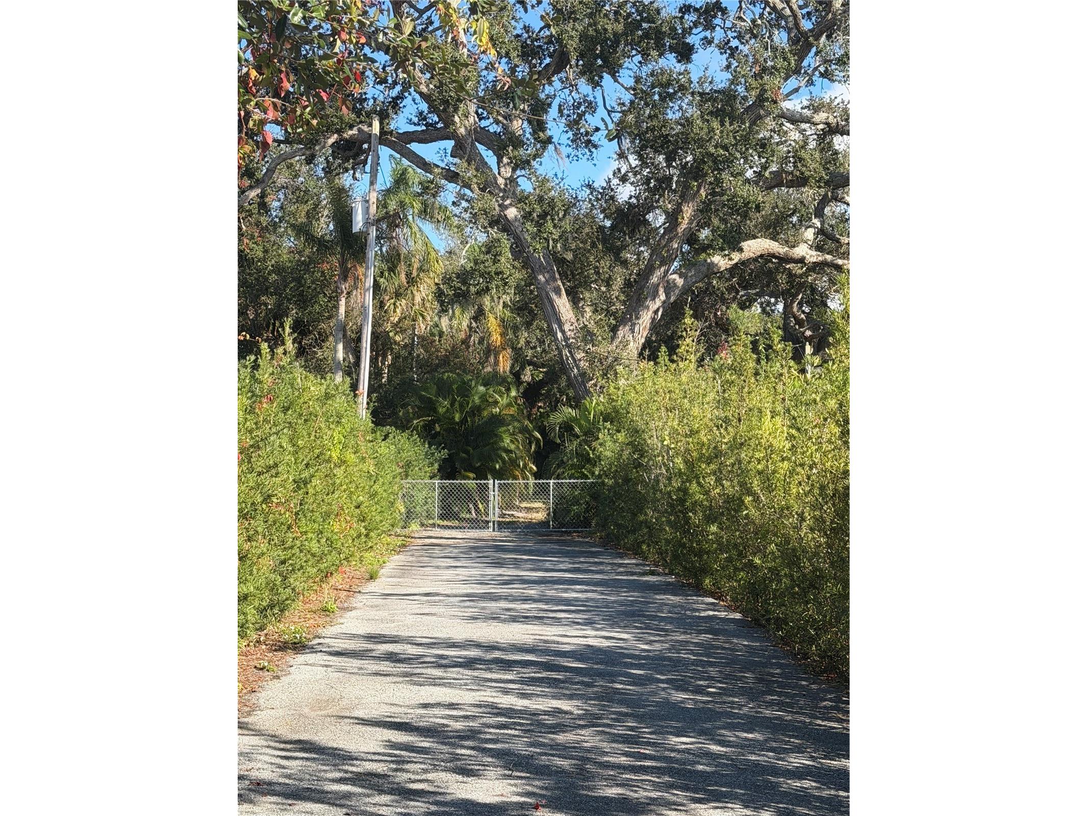 841 Indian Rocks Road Belleair FL 33756 TB8455440 image7