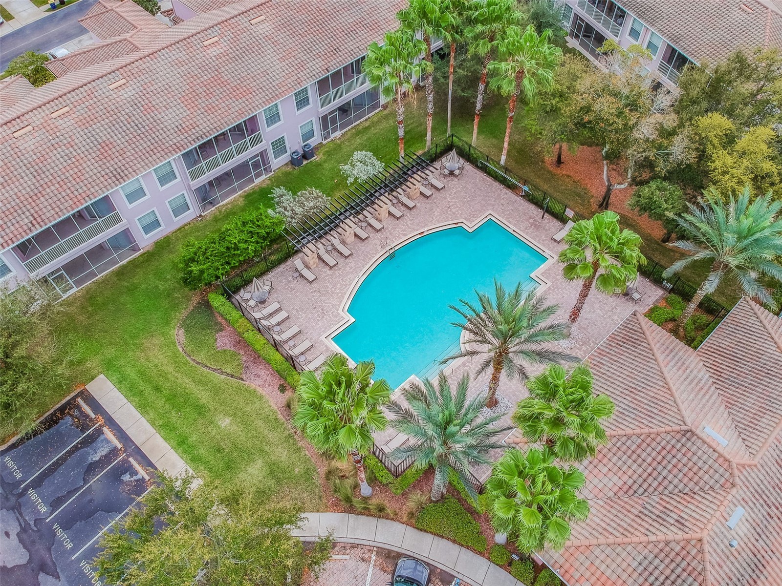 841 Lantern Way #202 Clearwater FL 33765 TB8443360 image10