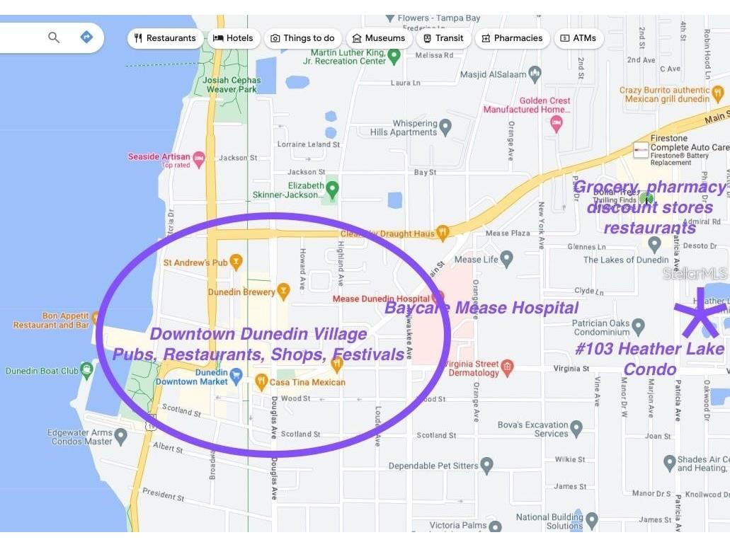 841 Patricia Avenue #103 Dunedin FL 34698 TB8490868 image26