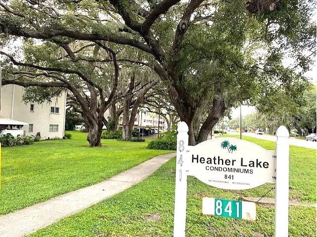 841 Patricia Avenue #206 Dunedin FL 34698 TB8514734 image1