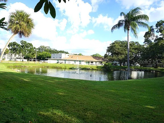 841 Patricia Avenue #206 Dunedin FL 34698 TB8514734 image15