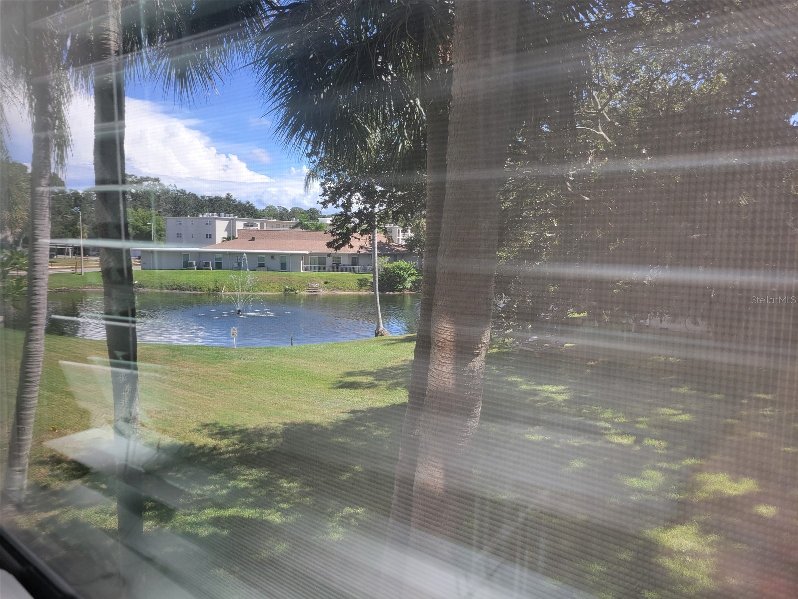 841 Patricia Avenue #206 Dunedin FL 34698 TB8514734 image17