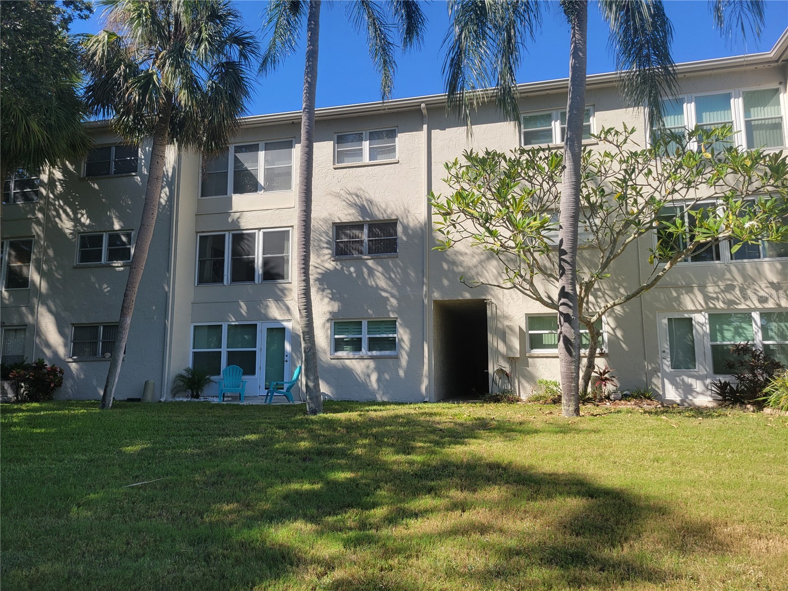 841 Patricia Avenue #206 Dunedin FL 34698 TB8514734 image2