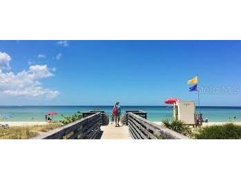 841 Patricia Avenue #206 Dunedin FL 34698 TB8514734 image21
