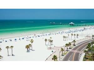 841 Patricia Avenue #206 Dunedin FL 34698 TB8514734 image24