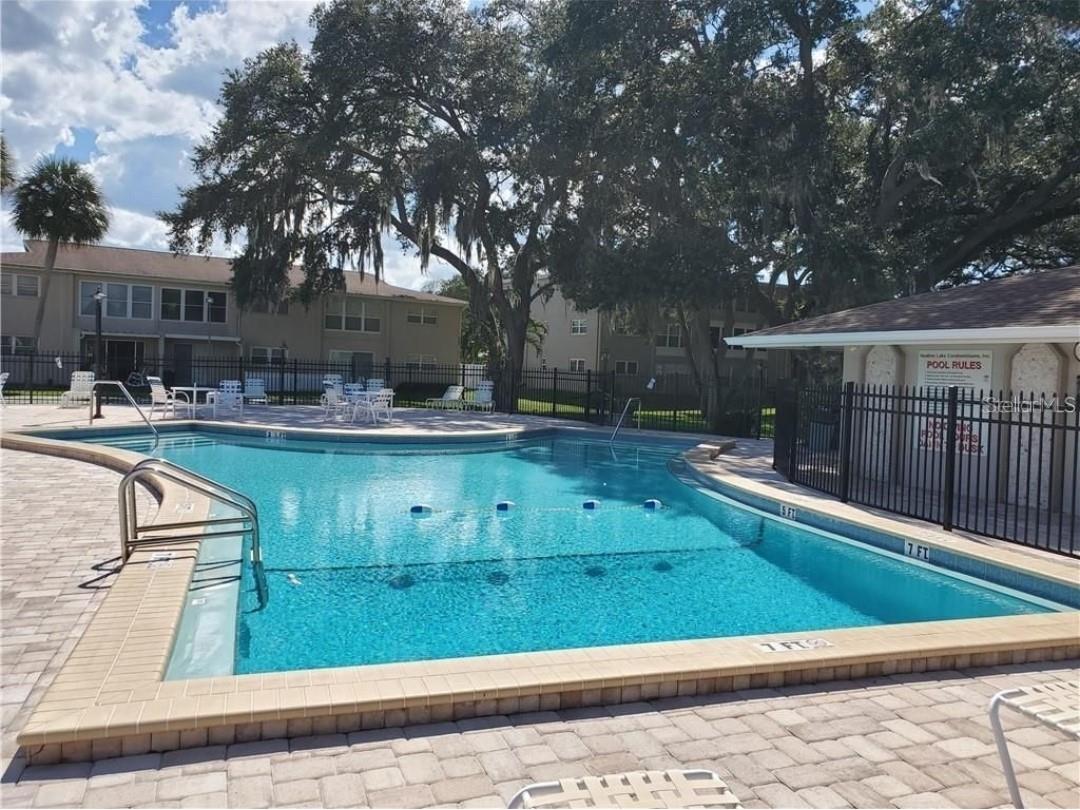 841 Patricia Avenue #206 Dunedin FL 34698 TB8514734 image26
