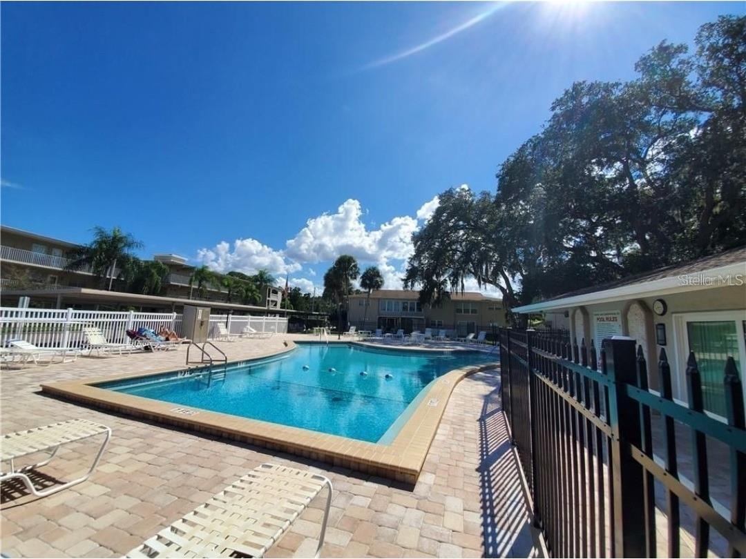 841 Patricia Avenue #206 Dunedin FL 34698 TB8514734 image27