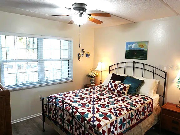 841 Patricia Avenue #206 Dunedin FL 34698 TB8514734 image8