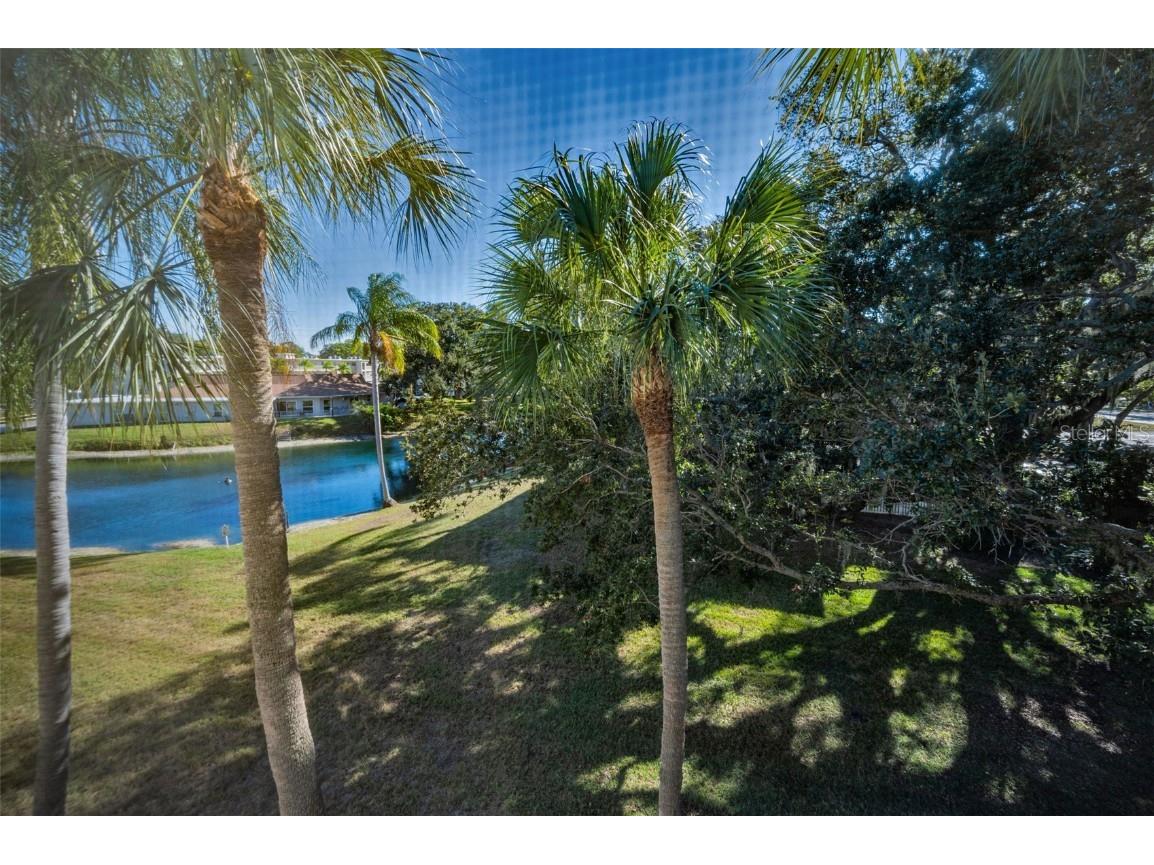 841 Patricia Avenue #306 Dunedin FL 34698 TB8457688 image14