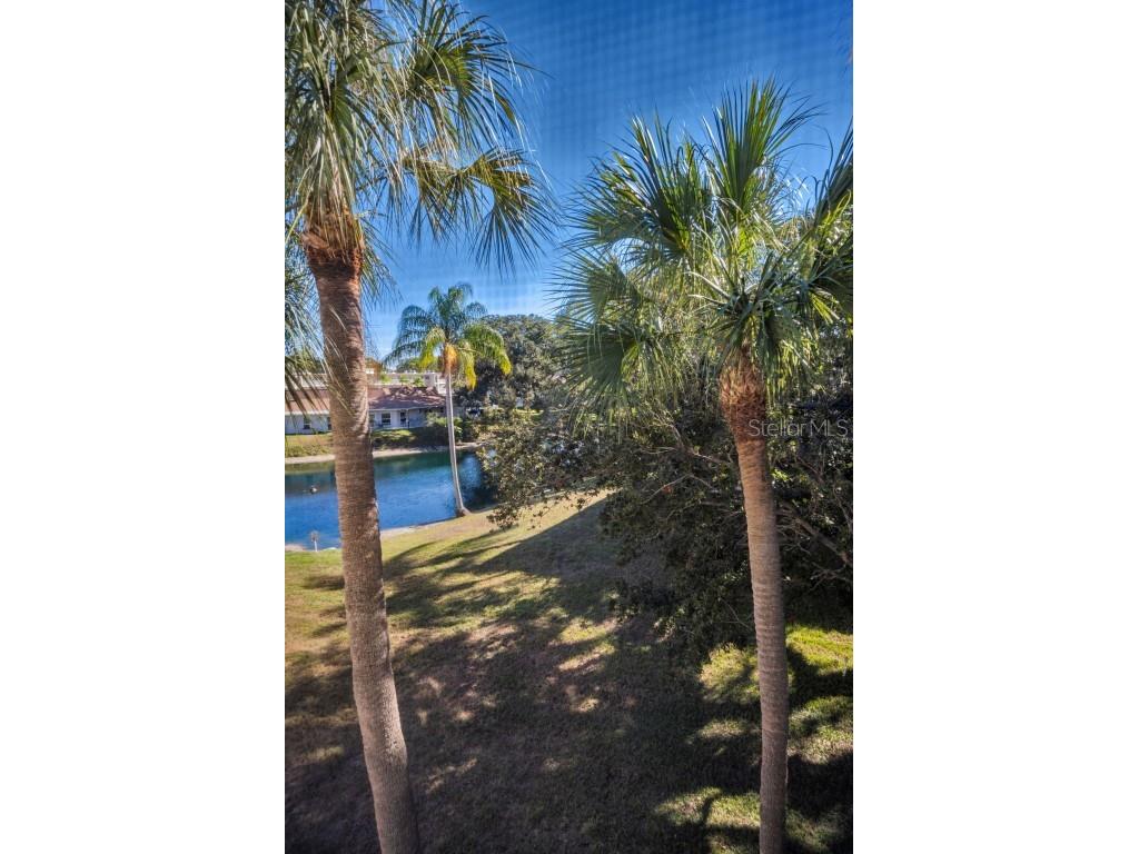 841 Patricia Avenue #306 Dunedin FL 34698 TB8457688 image32