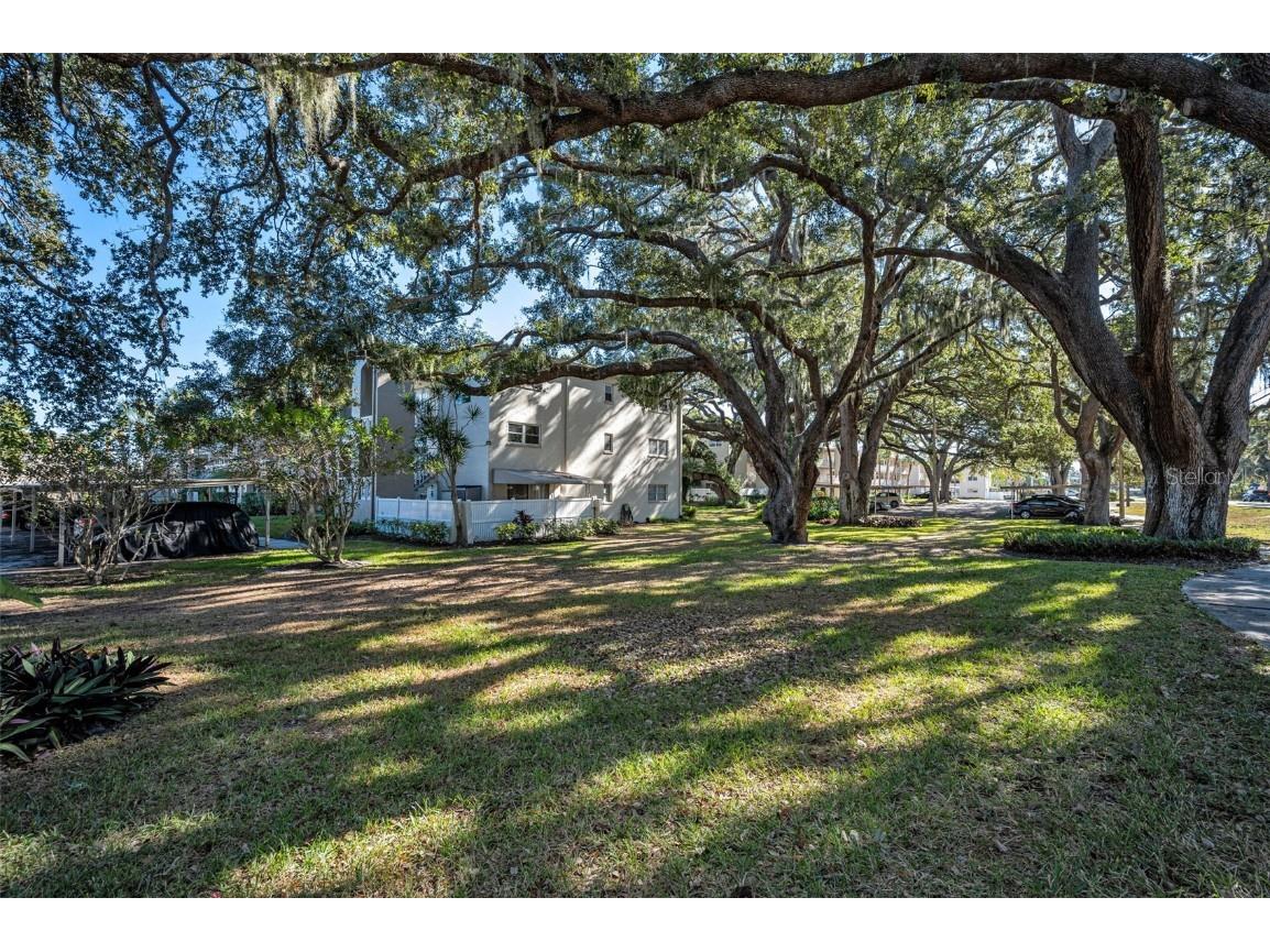 841 Patricia Avenue #306 Dunedin FL 34698 TB8457688 image40