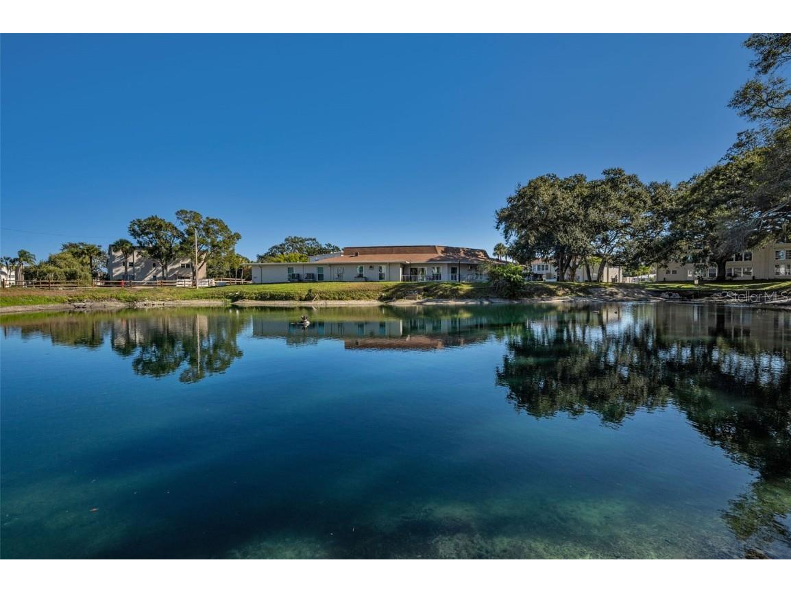 841 Patricia Avenue #306 Dunedin FL 34698 TB8457688 image46