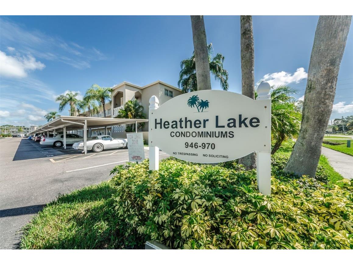 841 Patricia Avenue #306 Dunedin FL 34698 TB8457688 image48