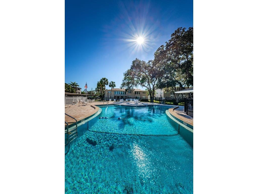 841 Patricia Avenue #306 Dunedin FL 34698 TB8457688 image54