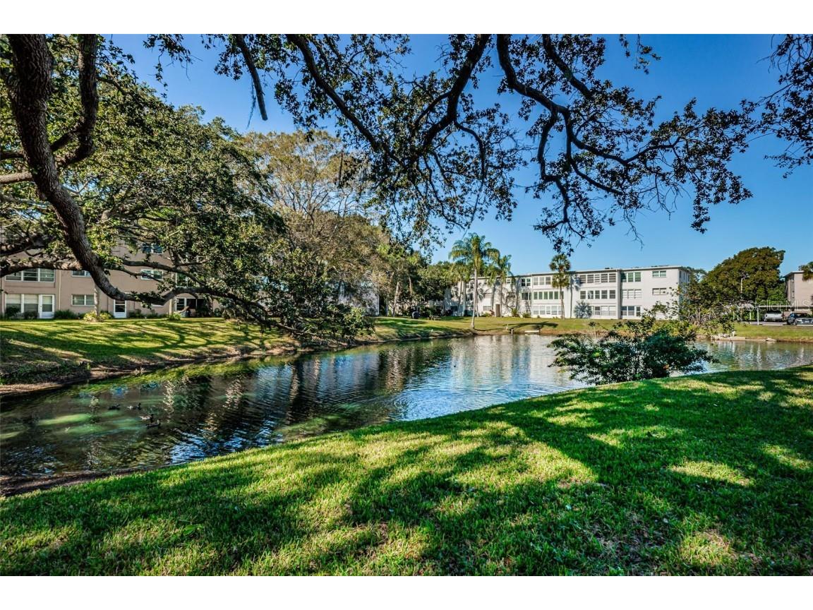 841 Patricia Avenue #306 Dunedin FL 34698 TB8457688 image72