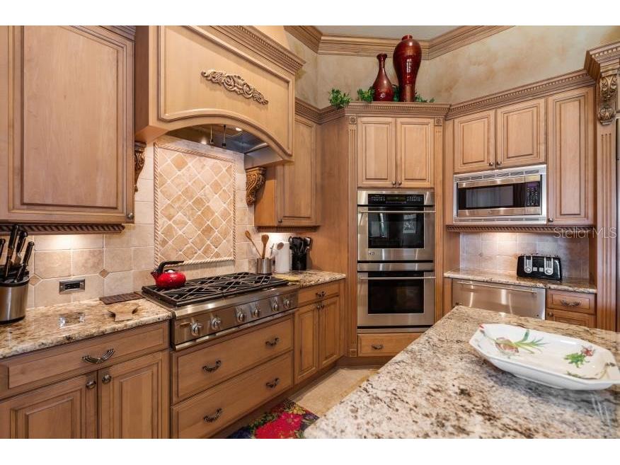 841 Ponce De Leon Drive Saint Petersburg FL 33715 - THE GRAND CANAL TB8392286 image12