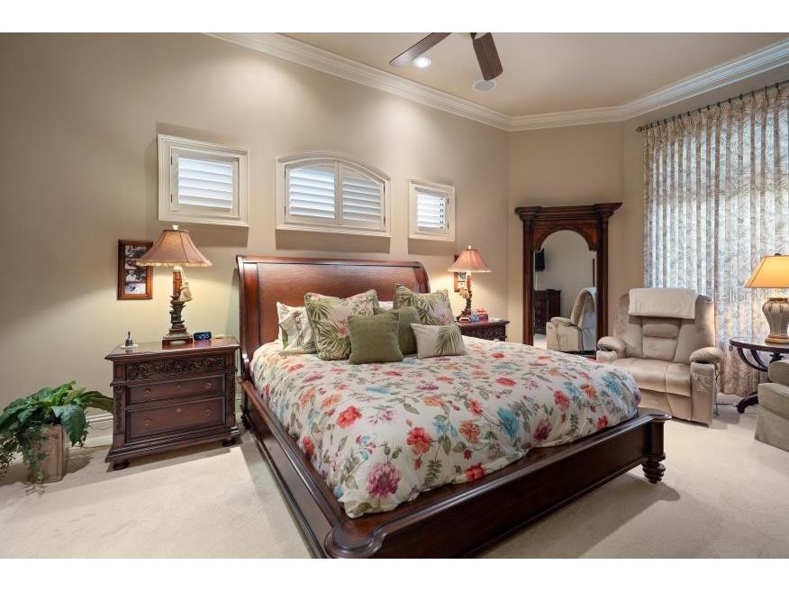 841 Ponce De Leon Drive Saint Petersburg FL 33715 - THE GRAND CANAL TB8392286 image24