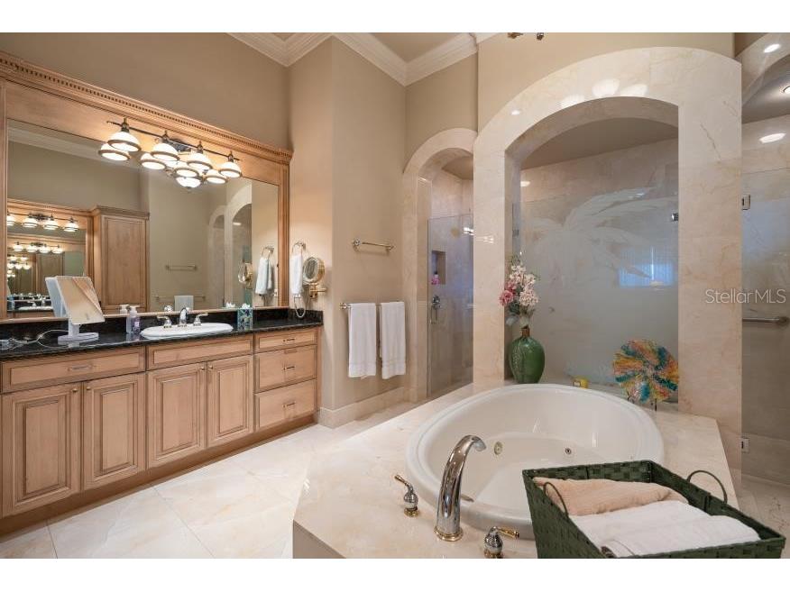 841 Ponce De Leon Drive Saint Petersburg FL 33715 - THE GRAND CANAL TB8392286 image28