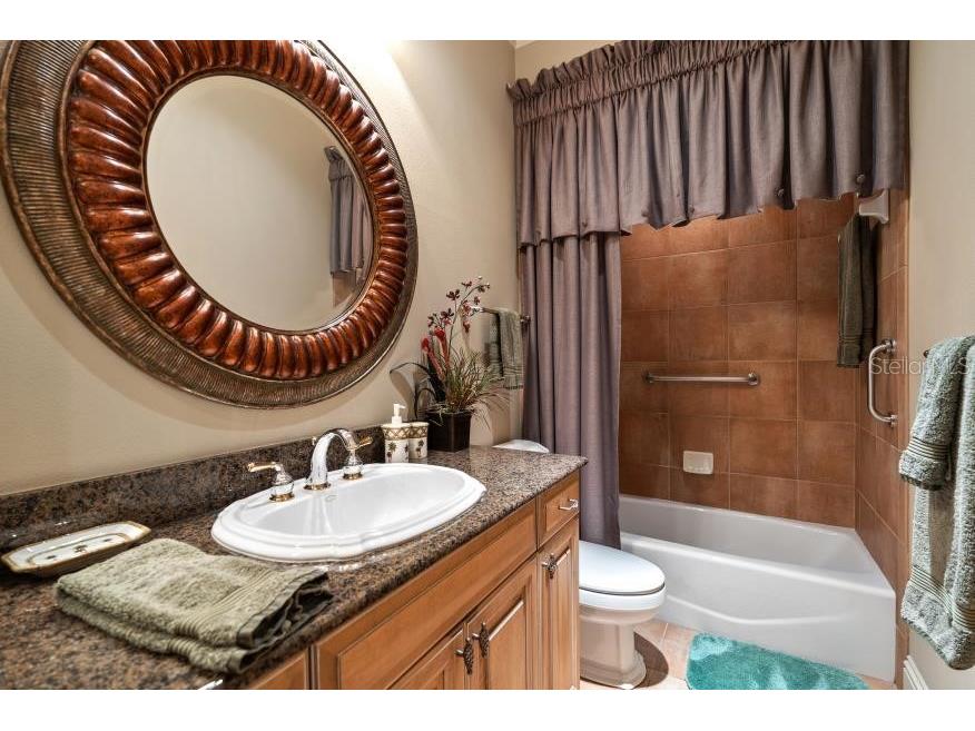 841 Ponce De Leon Drive Saint Petersburg FL 33715 - THE GRAND CANAL TB8392286 image35