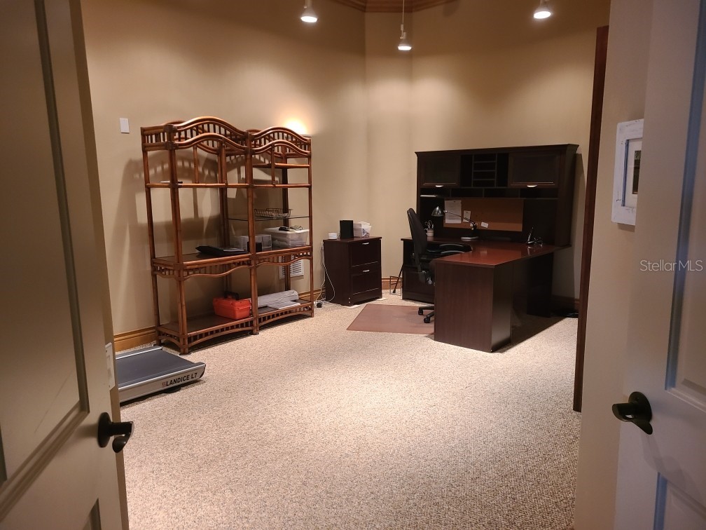 841 Ponce De Leon Drive Saint Petersburg FL 33715 - THE GRAND CANAL TB8392286 image36