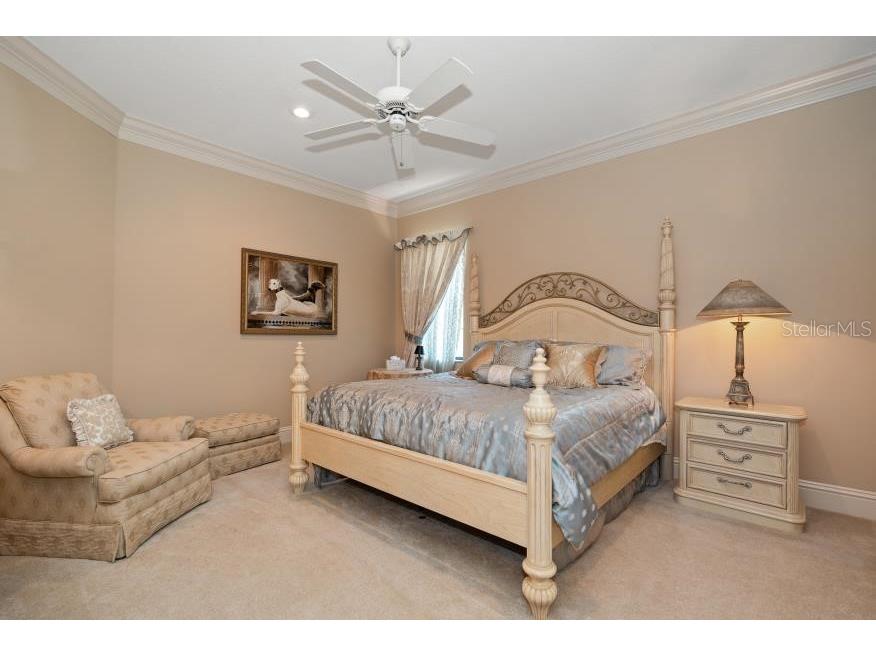 841 Ponce De Leon Drive Saint Petersburg FL 33715 - THE GRAND CANAL TB8392286 image48