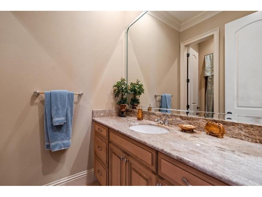 841 Ponce De Leon Drive Saint Petersburg FL 33715 - THE GRAND CANAL TB8392286 image49