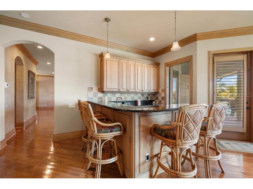 841 Ponce De Leon Drive Saint Petersburg FL 33715 - THE GRAND CANAL TB8392286 image51