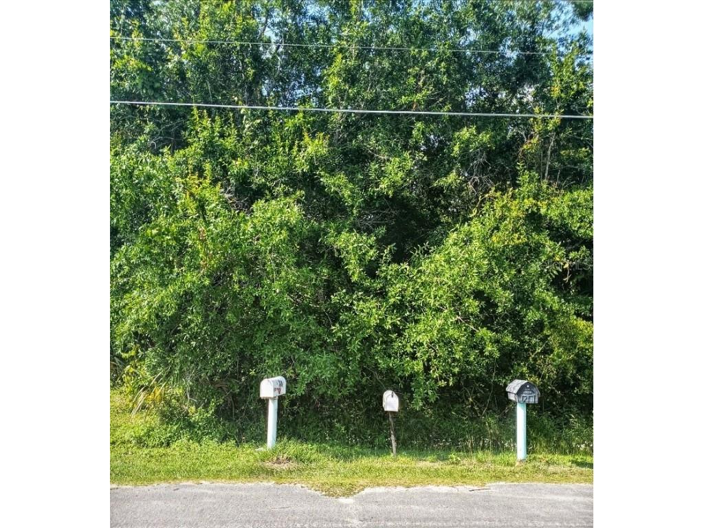 841 San Jose Court Kissimmee FL 34758 S5066934 image1