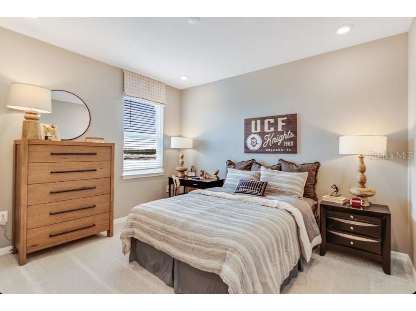 841 Steel Drive Apollo Beach FL 33572 TB8380933 image29