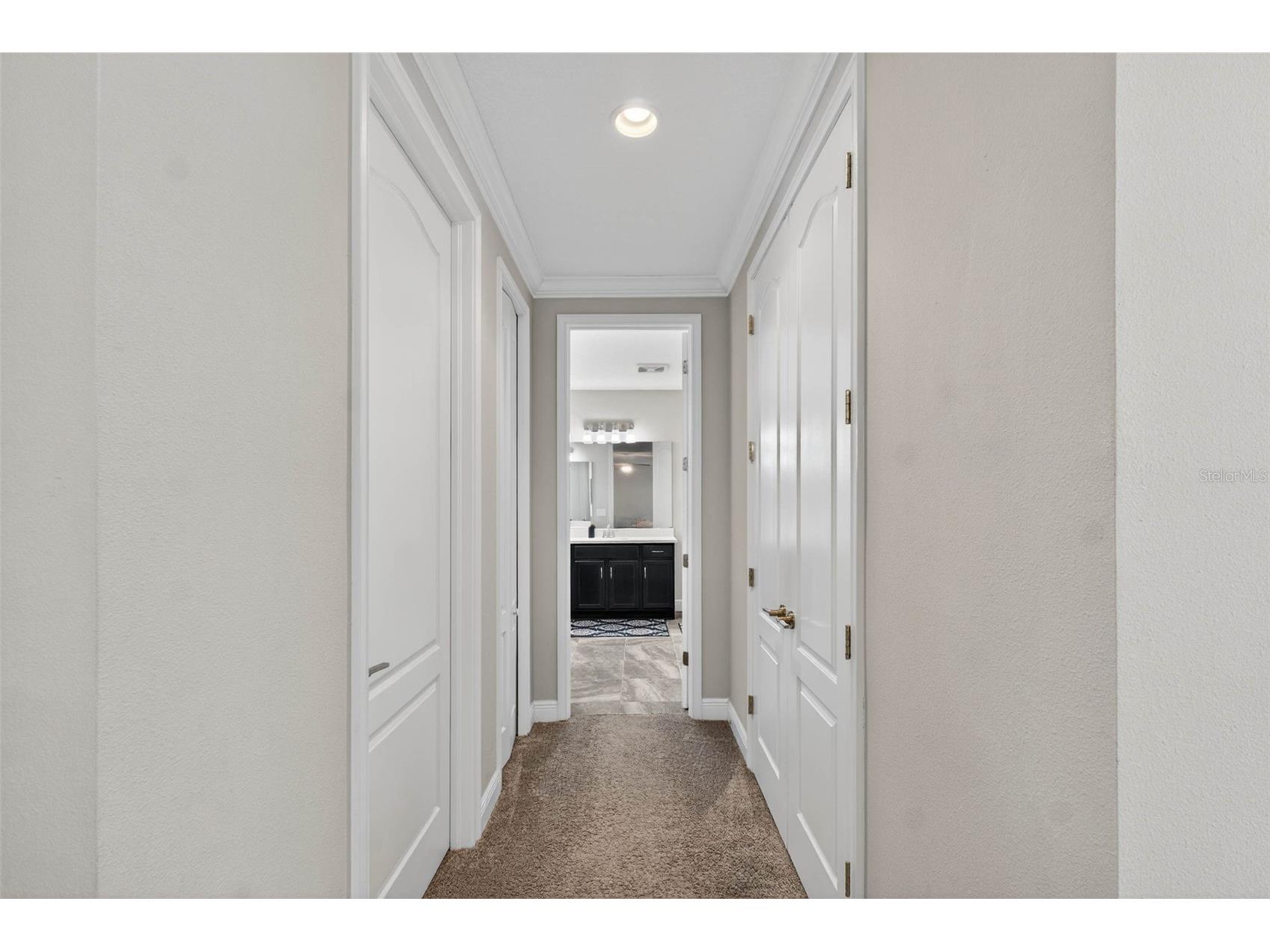 8410 Auburn Rise Court Land O Lakes FL 34638 TB8481961 image36