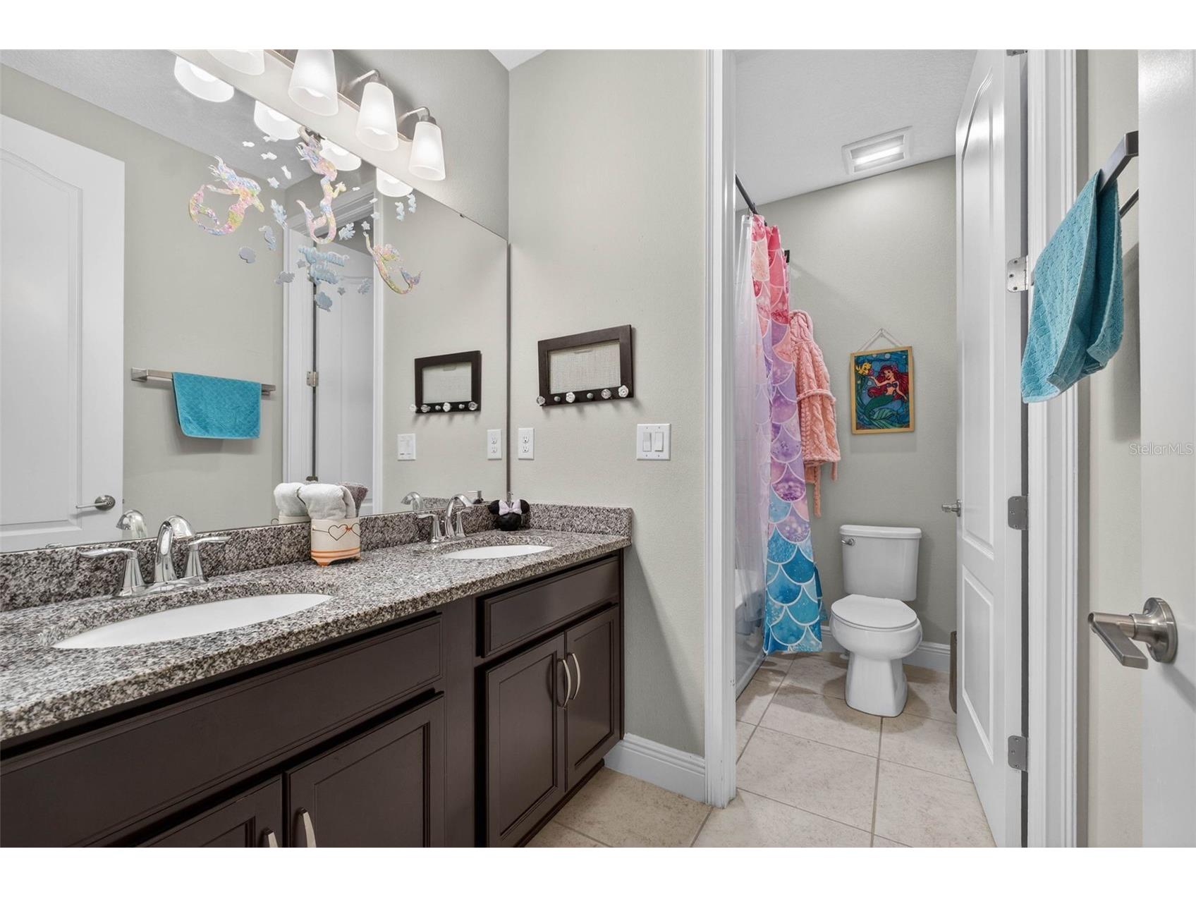 8410 Auburn Rise Court Land O Lakes FL 34638 TB8481961 image45