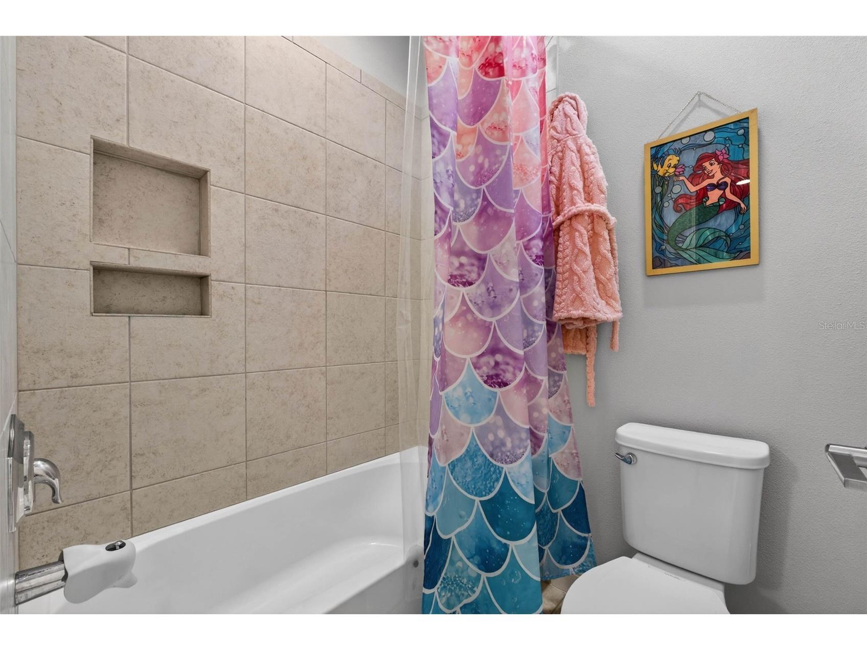 8410 Auburn Rise Court Land O Lakes FL 34638 TB8481961 image46