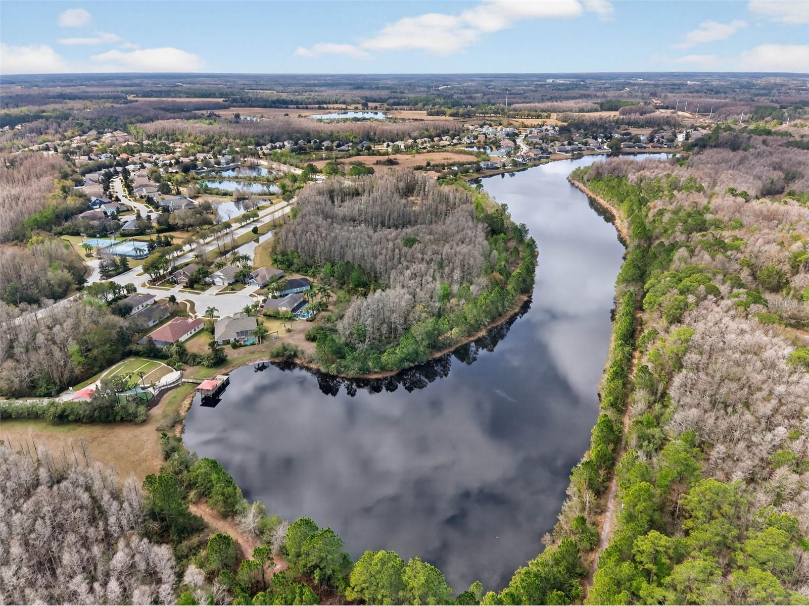 8410 Auburn Rise Court Land O Lakes FL 34638 TB8481961 image76