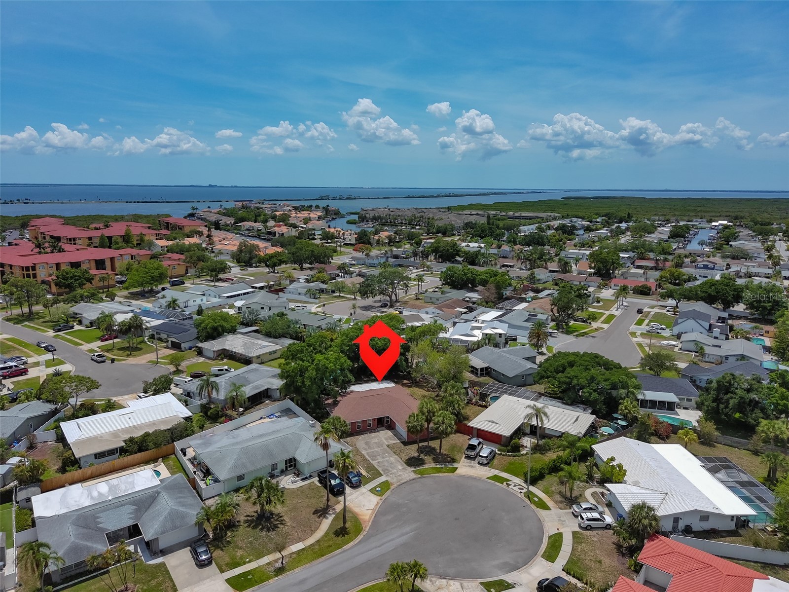 8410 Lava Place Tampa FL 33615 TB8510819 image49