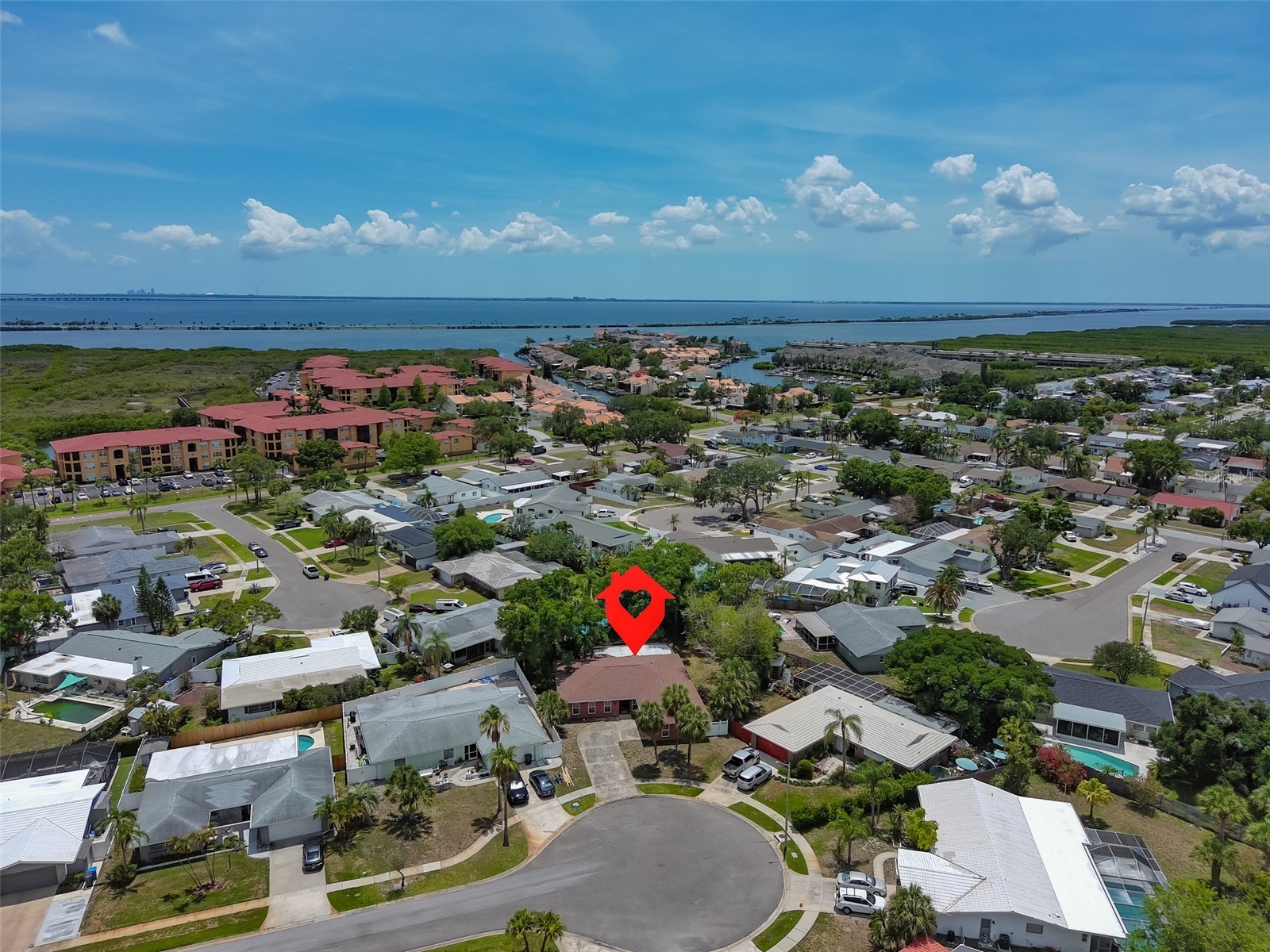 8410 Lava Place Tampa FL 33615 TB8510819 image50