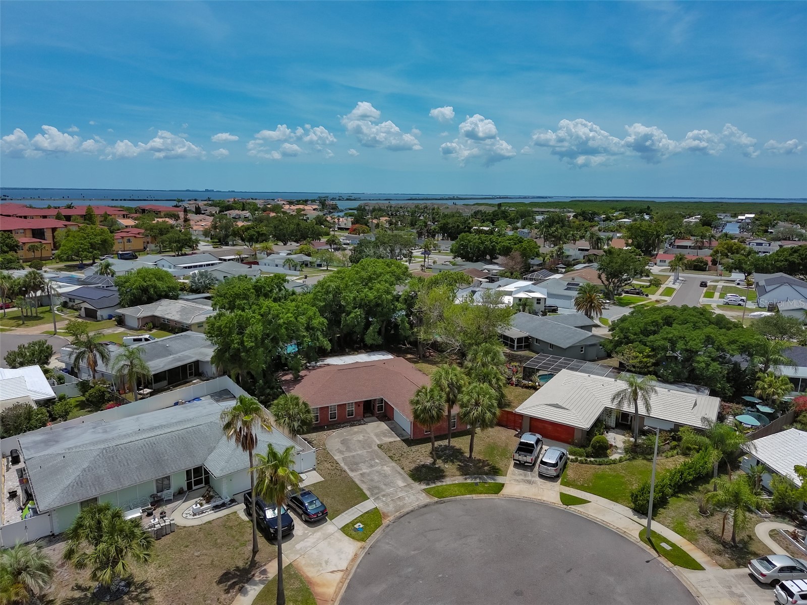 8410 Lava Place Tampa FL 33615 TB8510819 image53