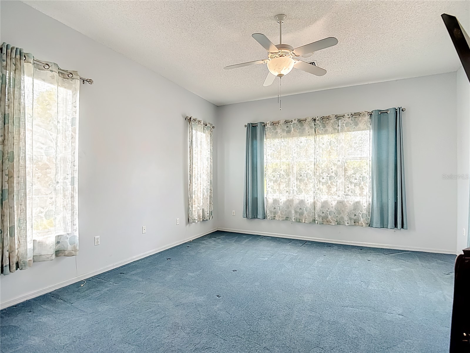 8410 Maybelle Drive Weeki Wachee FL 34613 TB8493845 image20