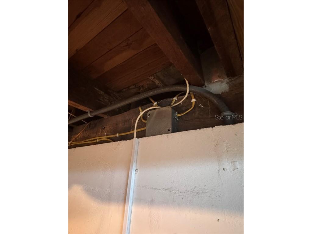 8410 N Mitchell Avenue Tampa FL 33604 TB8443885 image29