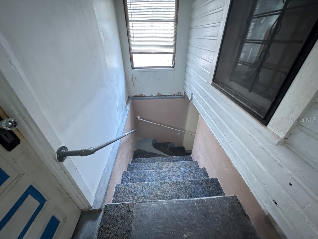 8410 N Mitchell Avenue Tampa FL 33604 TB8443885 image32