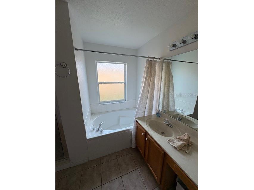 8410 Secret Key Cove Kissimmee FL 34747 O6356299 image19