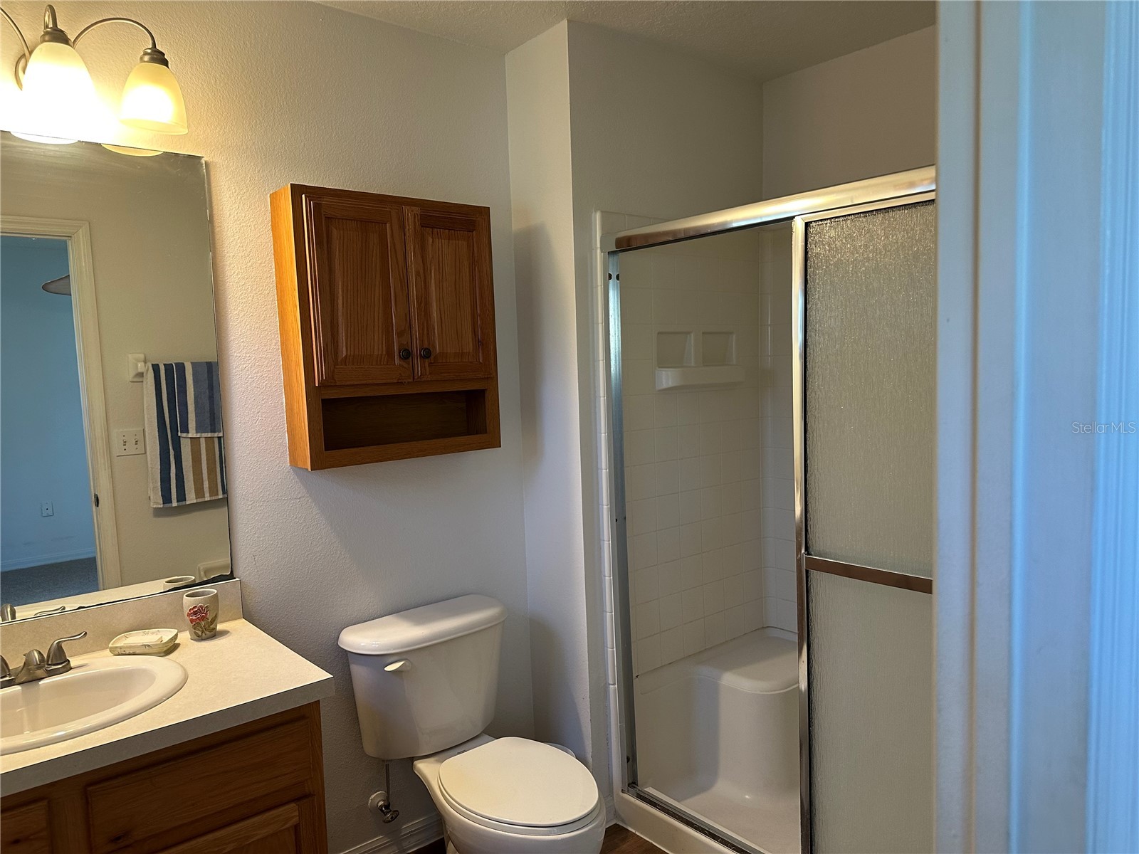 8411 Crystal Cove Loop Kissimmee FL 34747 S5144464 image19