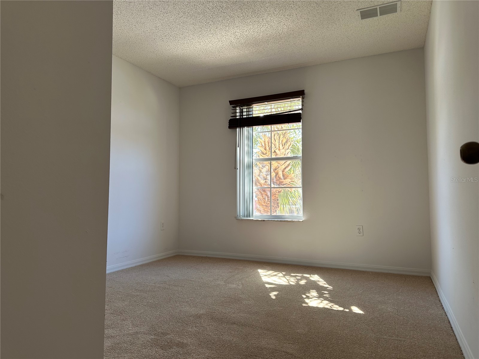 8411 Crystal Cove Loop Kissimmee FL 34747 S5144464 image20